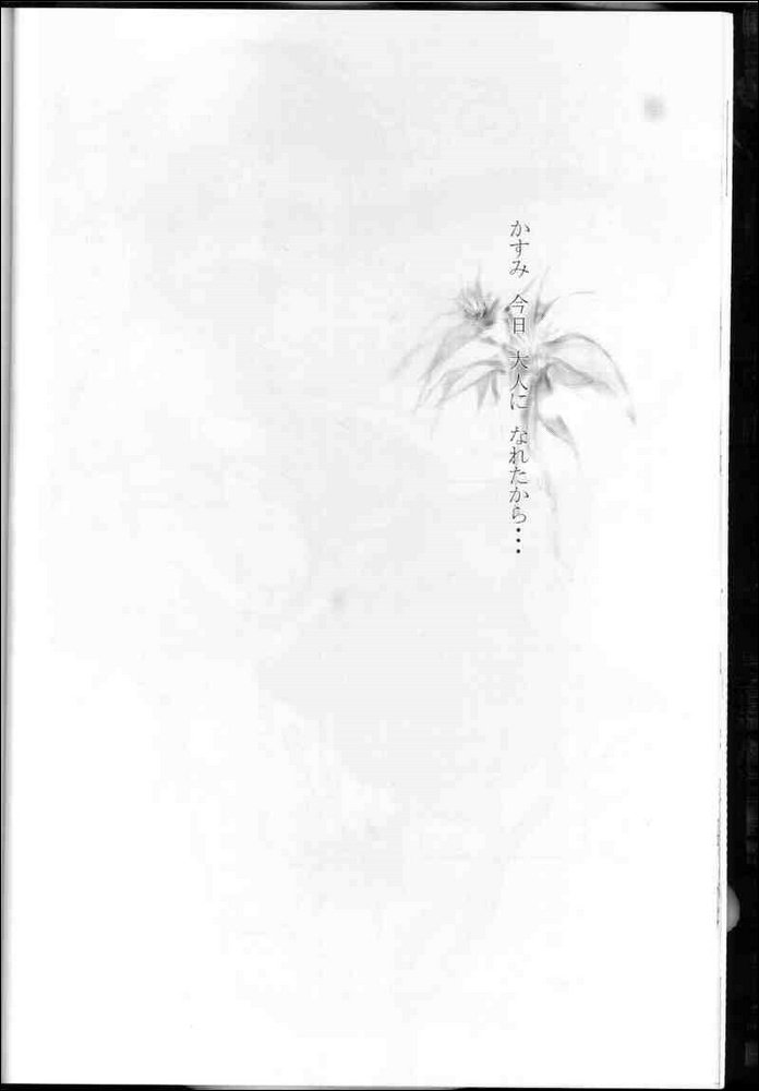 [RST Slave/RST Live (Ebina Souichi)] Kasumi Love (Dead or Alive) [RST ライヴ (海老名総一)] かすみラヴ (デッド・オア・アライヴ)