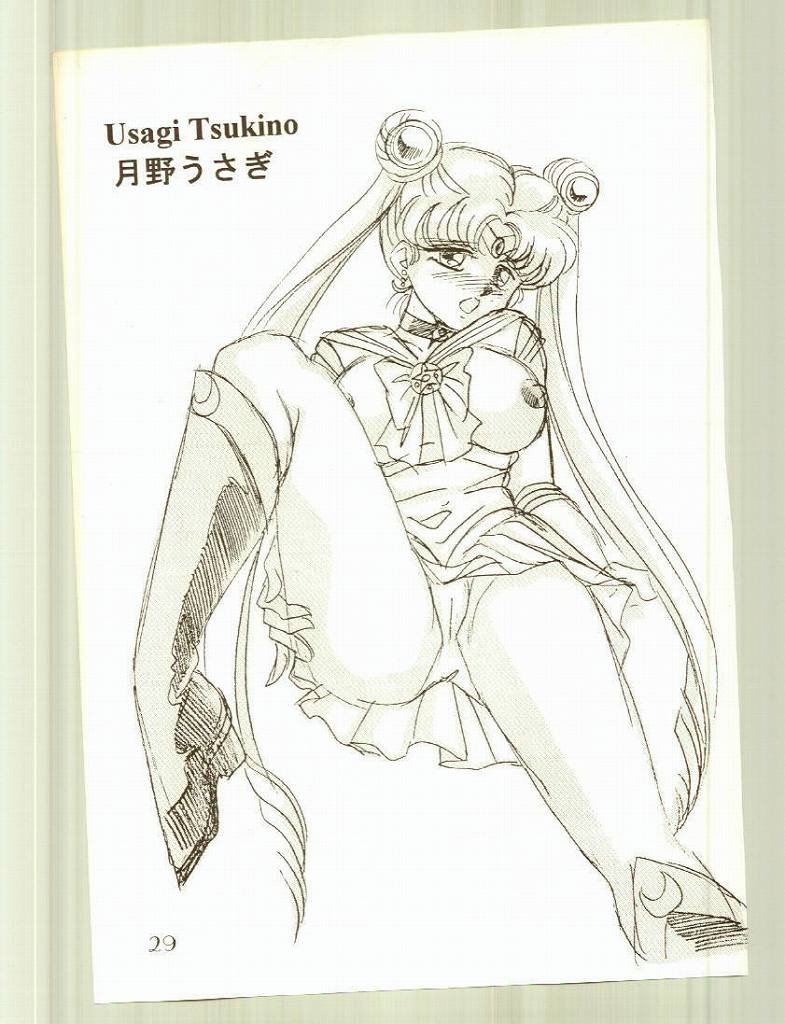 [Echigo-Ya Project] N-Dancer [Sailor Moon] 
