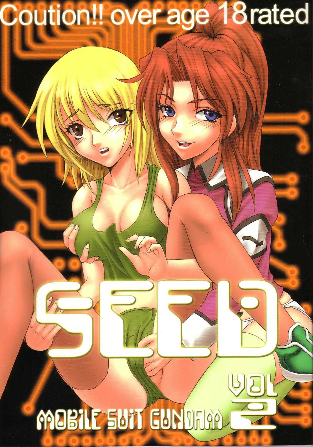 [St. Rio] Seed Phase 02 [Gundam Seed] 