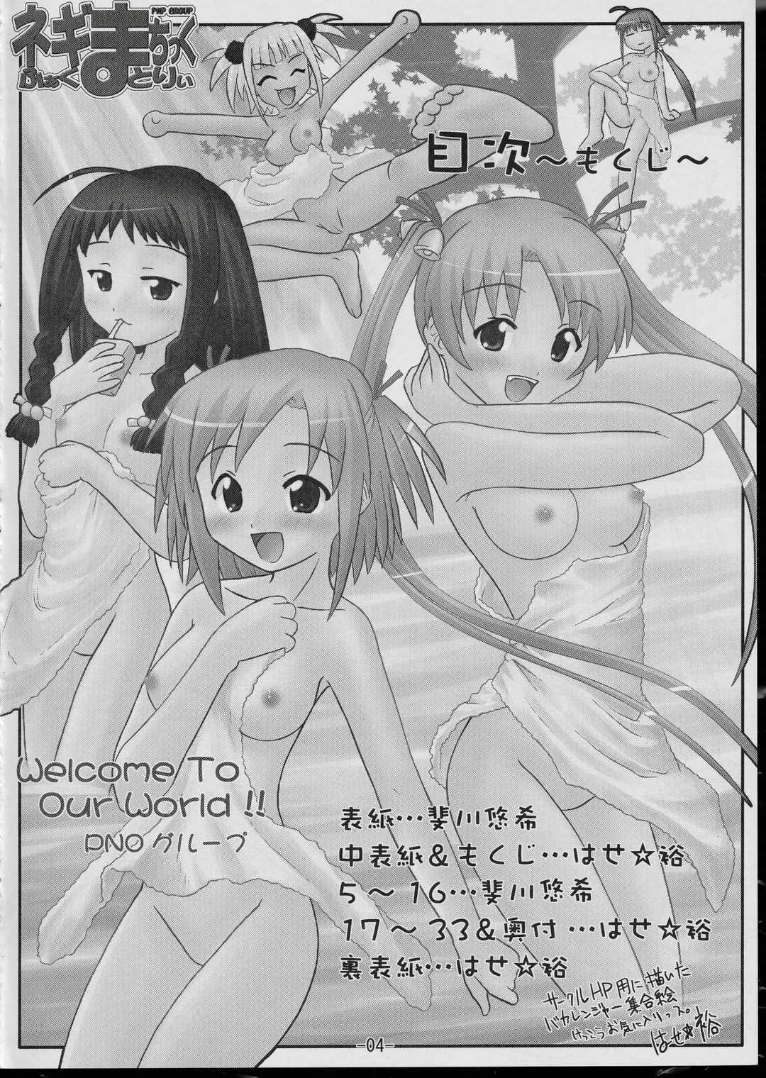 (C65) [PNO Group (Hase Yuu, Hikawa Yuuki)] Negima Chick Factory (Mahou Sensei Negima!) [PNOグループ (はせ☆裕, 斐川悠希)] (魔法先生ネギま！)