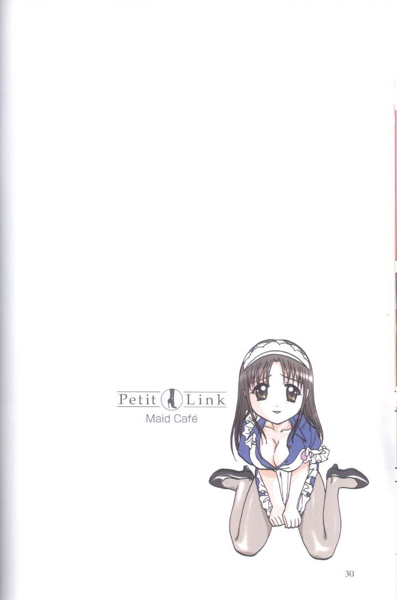 [Nagano Akane] Petit Link 4 [永野あかね] プチりんく 4