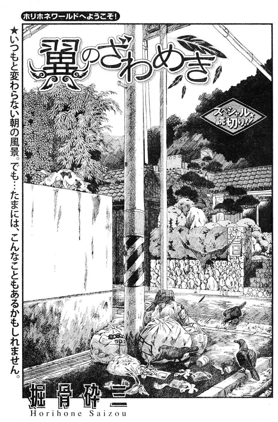 Young Champion Retsu Vol.06 (雑誌) ヤングチャンピオン烈 Vol.06