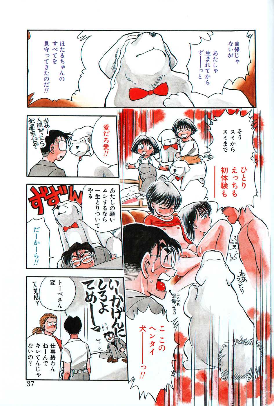 [Chiba Dirou]hotaru no kibunn [千葉治郎] ほたるのきぶん (1995-05-01)