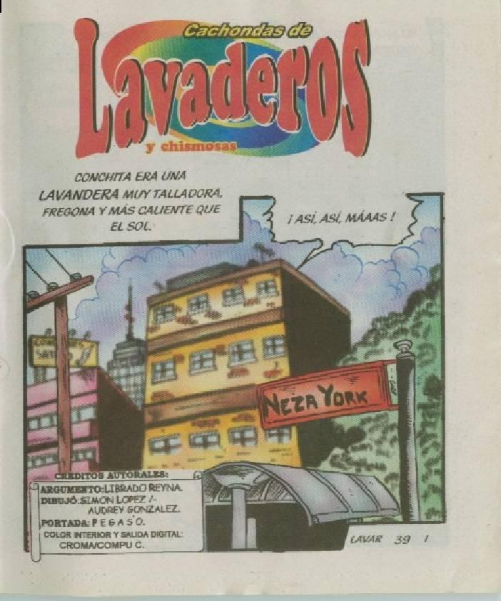 Cachondas de Lavaderos Vol.39 [Spanish] 